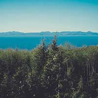 自动化部署的ddos在线攻击平台