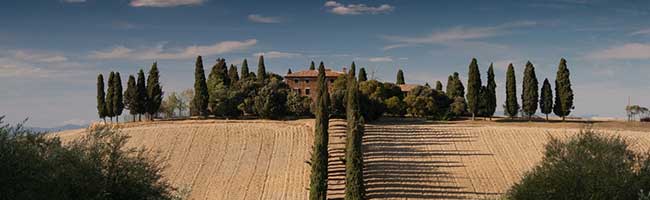 在线DDOS攻击平台