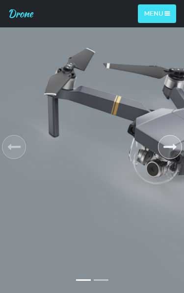 商业智能集成的在线网站攻击